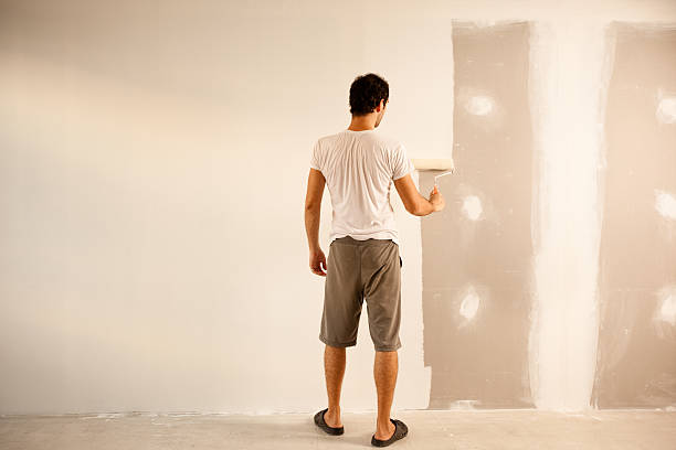 Best Drywall Removal and Disposal  in Mango, FL